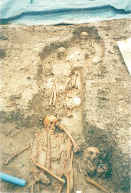 Analysis of Human Skeletal Material from the Poulton Research Project: 1995 2002 Caution is needed when trying to distinguish any trends in this data, for a number of reasons: The number of burials