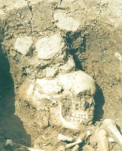 Furthermore, once Skeleton 96 was lifted, another, undisturbed, articulated burial (Skeleton 99) was found immediately underneath.