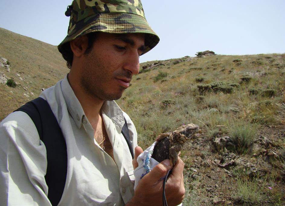 History and status of herpetology in Iran Hiva Faizi earned his B.Sc. in plant biology from Shahid Beheshti University (SBU) and his M.Sc. in Animal Biosystematics from Razi University.