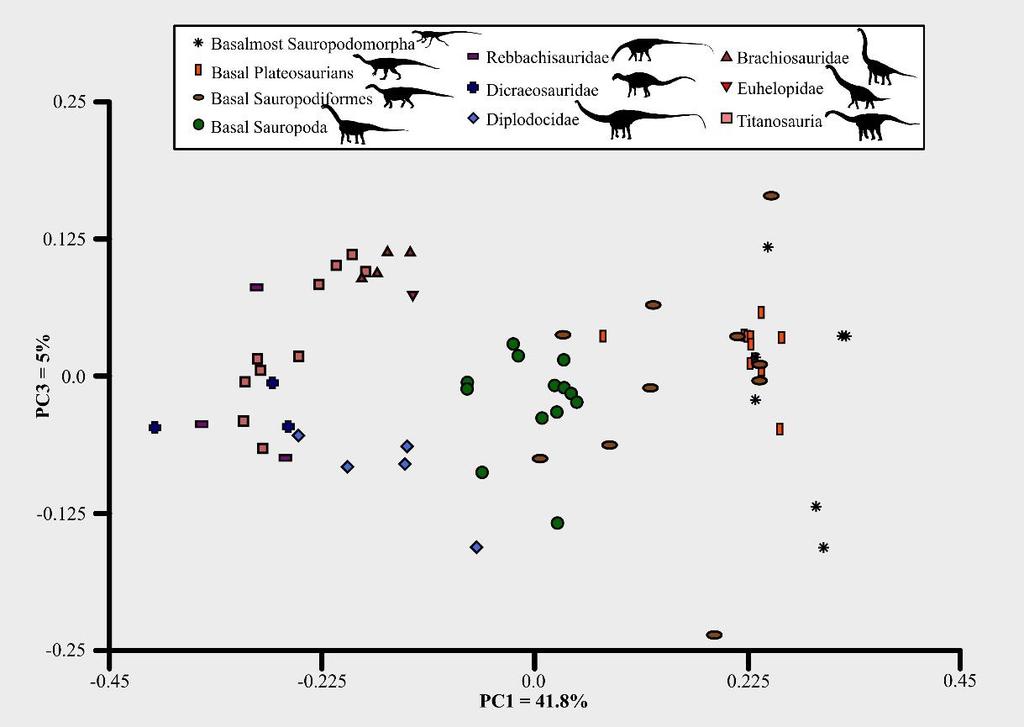 513 514 515 516 517 518 Figure S15: Breakdowns of the first two PC axes of the biomechanical morphospace, with the positions of all taxa labelled. Abbreviated genus names as follows: P.