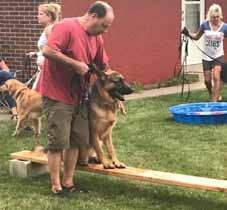 Another Lincolnwood training instructor, Stu Unger, also understands the value of distractions while dog training and likes to start his canine pupils young. He s added distractions to his 6:30 p.m.