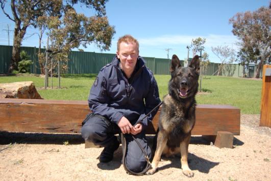 That Police Dog Excellent Ike and his handler Leading Senior Constable Heath Drew be awarded the GSDCA Outstanding Canine Service Award at the 2019 GSDCA National GSD Show & Trial.