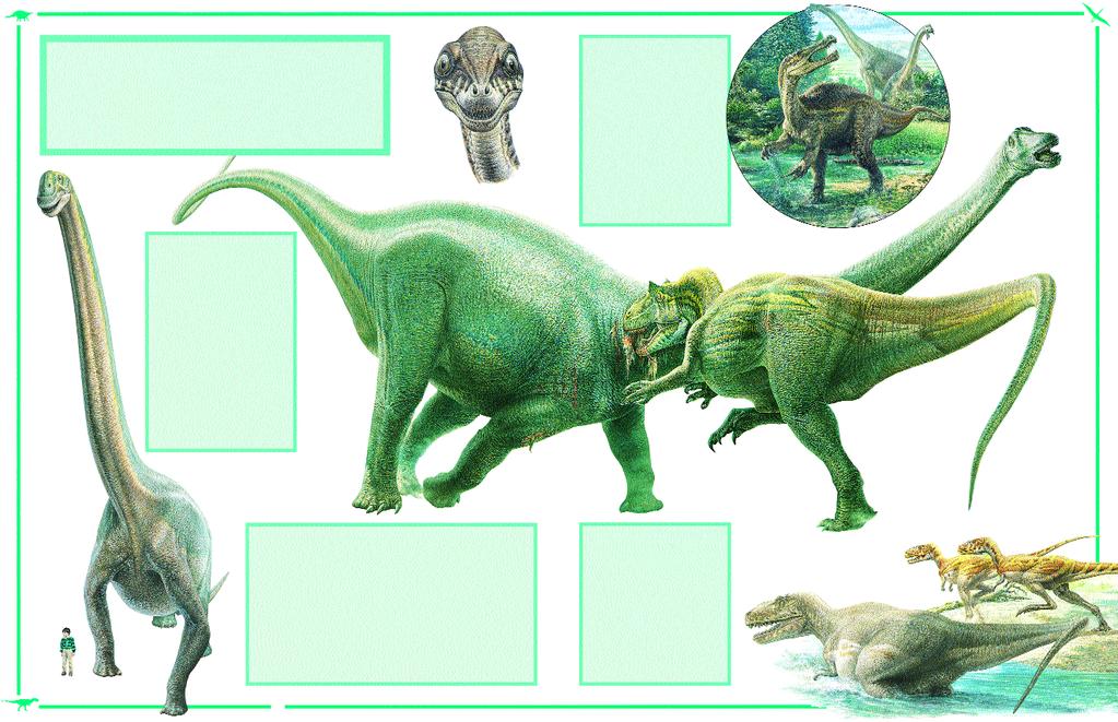 Longest, largest, cleverest, fiercest DINOSAURS belong to one of two groups: the lizard-hipped or the bird-hipped. The lizard-hipped dinosaurs are pictured here.