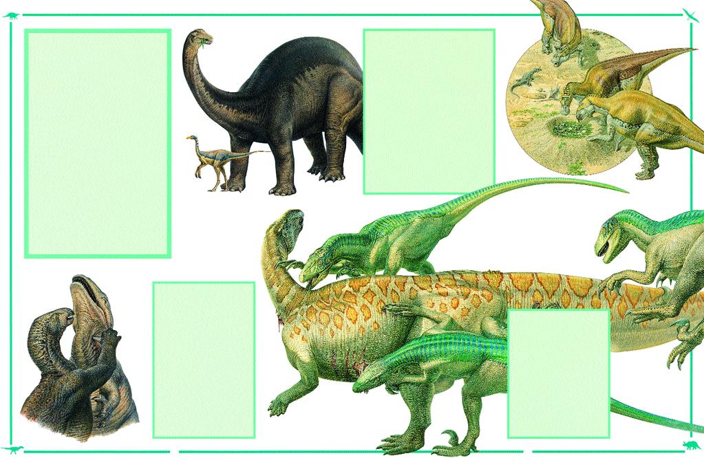 How dinosaurs lived WHEN we think of a dinosaur, perhaps the first image that comes to mind is an enormous, long-necked creature like Apatosaurus(once known by the name Brontosaurus).