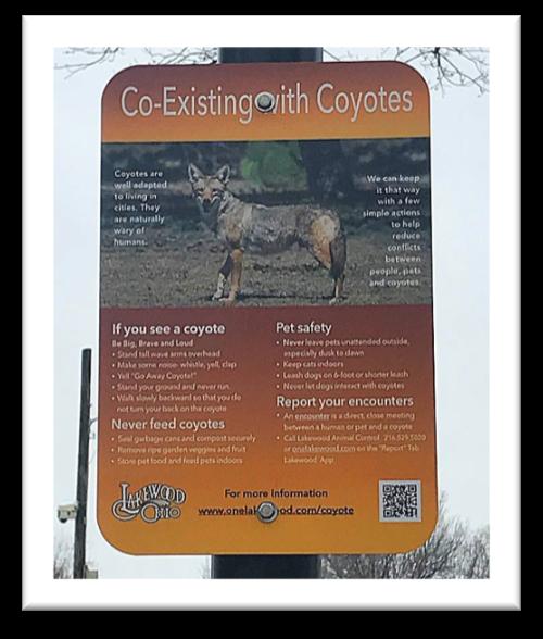 b. Worked with the city to create the Co-Existing with Coyotes signage, which was posted in Lakewood Park. 2. Dog Ordinances a.