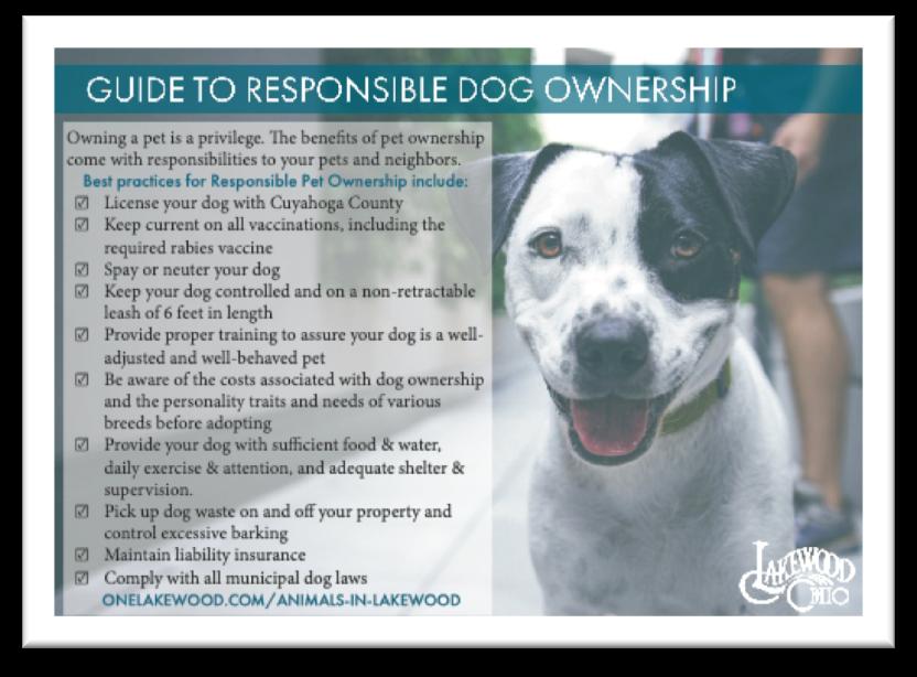 d. Worked with administration personnel on Guide to Responsible Pet Ownership/Lakewood Dog Ordinance postcard that was created.