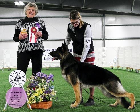 Best Of Breed 63 Fri_BOS_ CH MAKINTRAX HAPPY DAYS, DN432044/02, 05/21/15. Breeder, Owner. By Ch. Cross Timbers Black Male Makintrax Waiting To Exhale,TC.