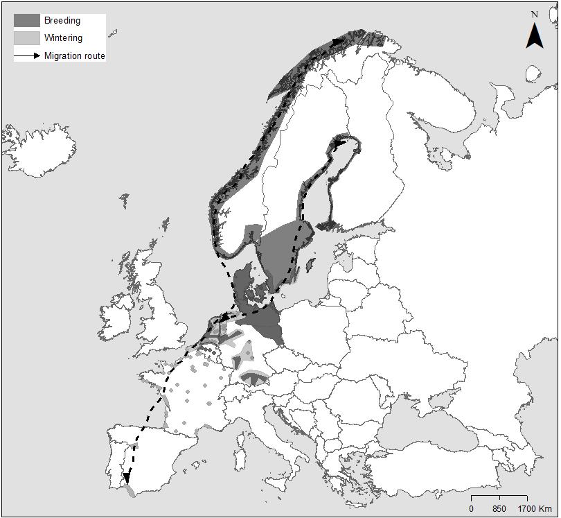Final Draft of the AEWA International Single Species Management Plan for the NW/SW European Population of the Greylag Goose (Anser anser) Figure 1.