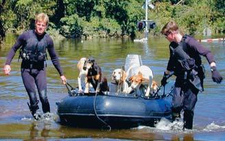 Think and Share Animal Rescuers help care for animals during emergencies, such as earthquakes, floods, or forest fires.