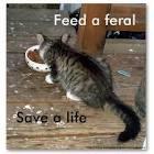 Meow Munchies Feed a Feral. Save a Life. It s that simple.