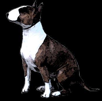with over 300 subscribers including AKC Bull Terrier Judges.