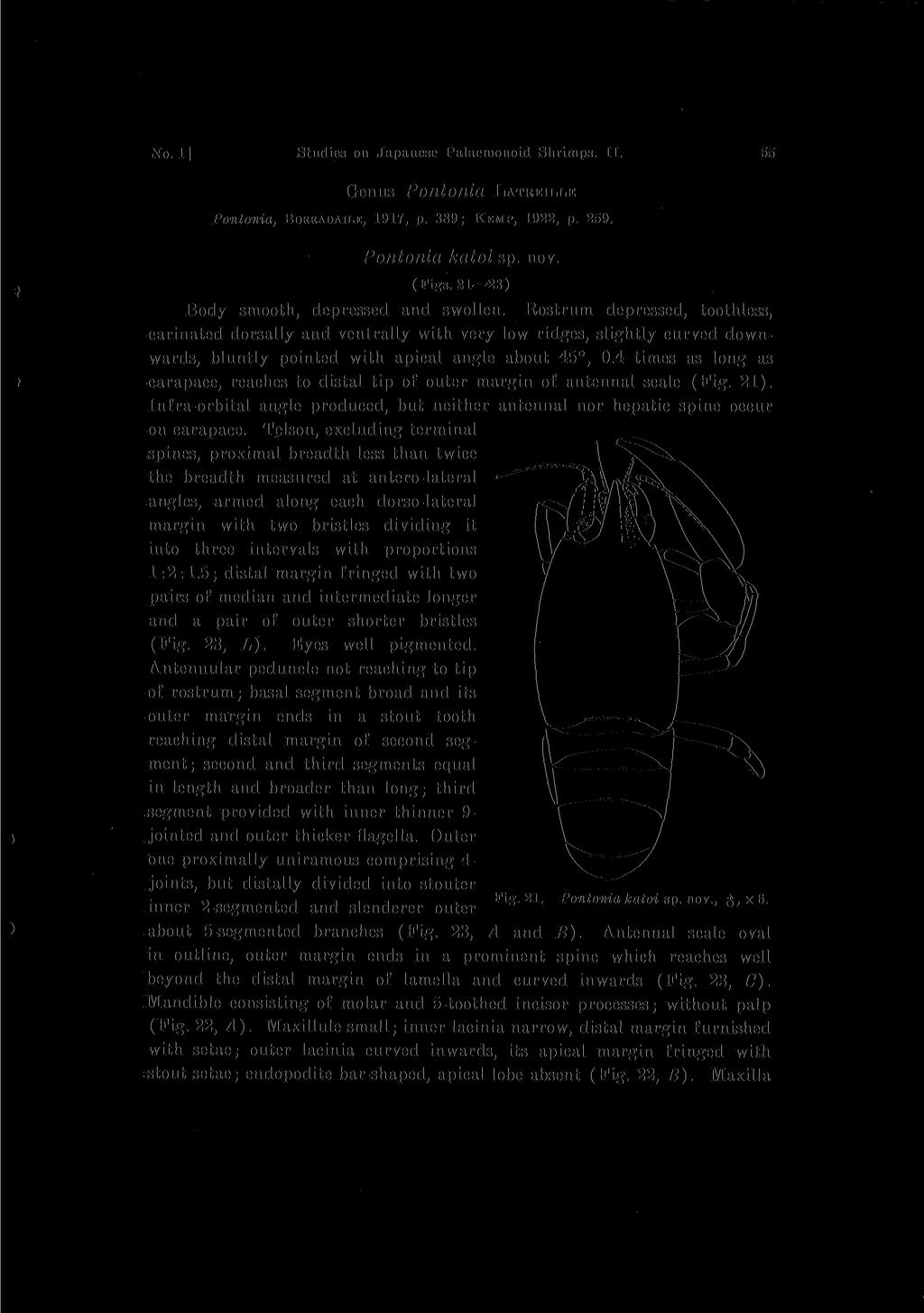 No. 1] Studies 011 Japanese Palaemonoid Shrimps. II. 55 Genus Pontonia LATREILLE Pontonia, BORRADAILE, 1917, p. 389; KEMP, 1922, p. 259. Pontonia katoi sp. nov. (Figs.