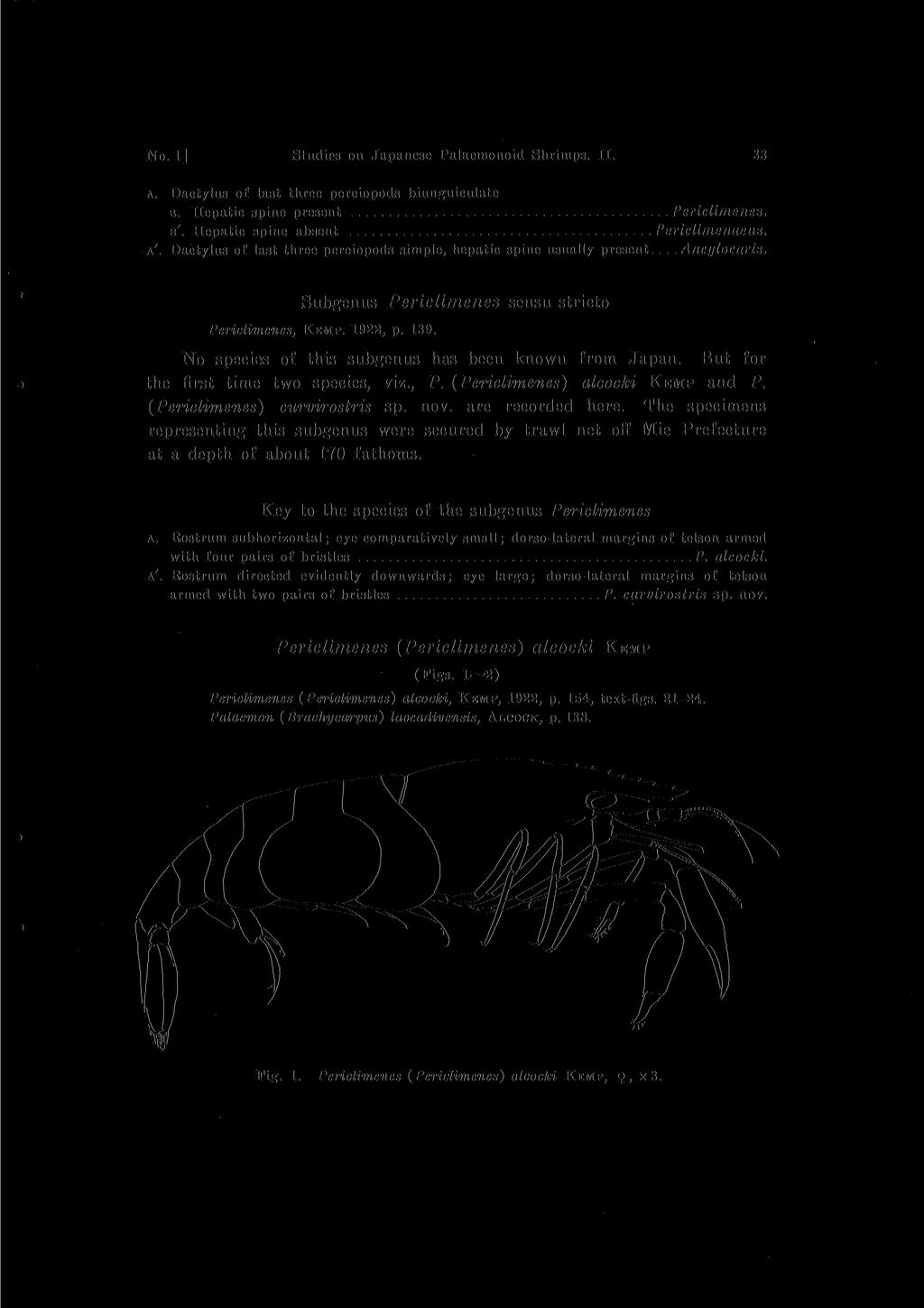 No. 1] Studies 011 Japanese Palaemonoid Shrimps. II. 33 A. Dactylus of last three pereiopods biunguiculate B. Hepatic spine present Periclimenes. B\ Hepatic spine absent Periclimenaeus. A'.