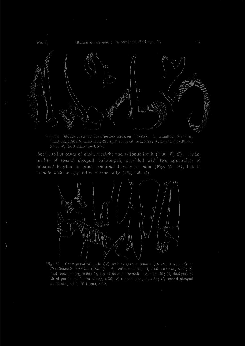 No. 1] Studies 011 Japanese Palaemonoid Shrimps. II. 69 maxillula, X 50; C, maxilla, x 25; D, first maxilliped, X 35; E, second maxilliped, x 20; F, third maxilliped, x 20.