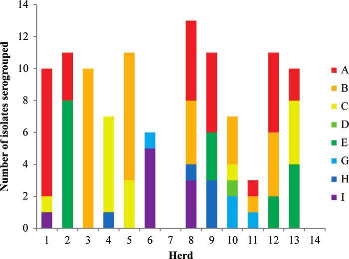 BOVINE INFECTIOUS FOOT DISEASES 7623 Figure 1. Number of selected Dichelobacter nodosus isolates (A to I) serogrouped in the 14 Norwegian dairy herds. to PT1, with 824 bp being identified.
