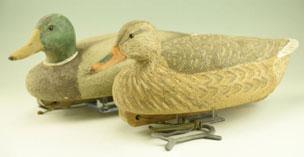 drake eand hen with decoy line and leaded
