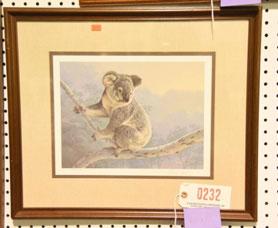 232 Framed print of Koala Bear S/N Daniel Smith 187/2000 1989 233