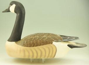 Goose with alert head and raised tail feathers.