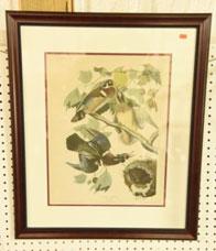 J. Audubon Print of Wood Ducks by The Old Print Shop New