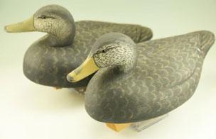 300 (2) Hand Carved Black duck decoys. Carver unknown.