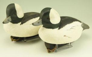 body Bufflehead drakes signed and dated on underside