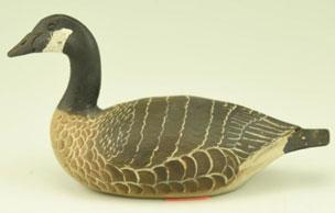 Canada Goose with raised wing signed on