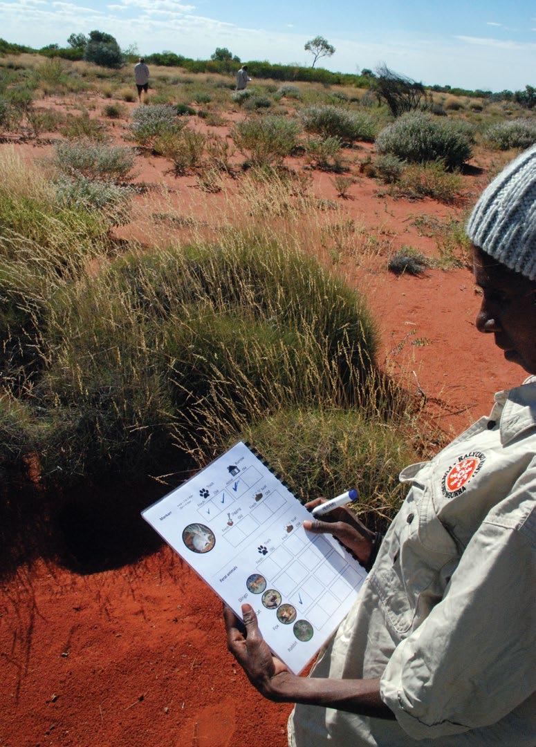 Martu ways that help mankarr to stay strong We know places that bilbies live. We look at country, explore, know that this isn't the place bilbies come. We know. (Heather Samson 10/5/2017 telling us that Martu knowledge should be used when deciding where to do surveys).