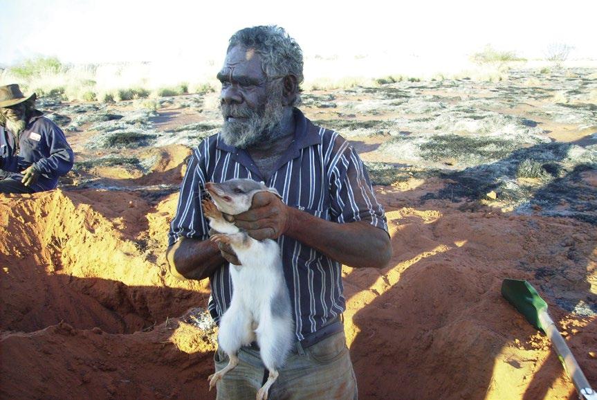 Martu holding mankarr that were dug up as part of a radio-tracking project with