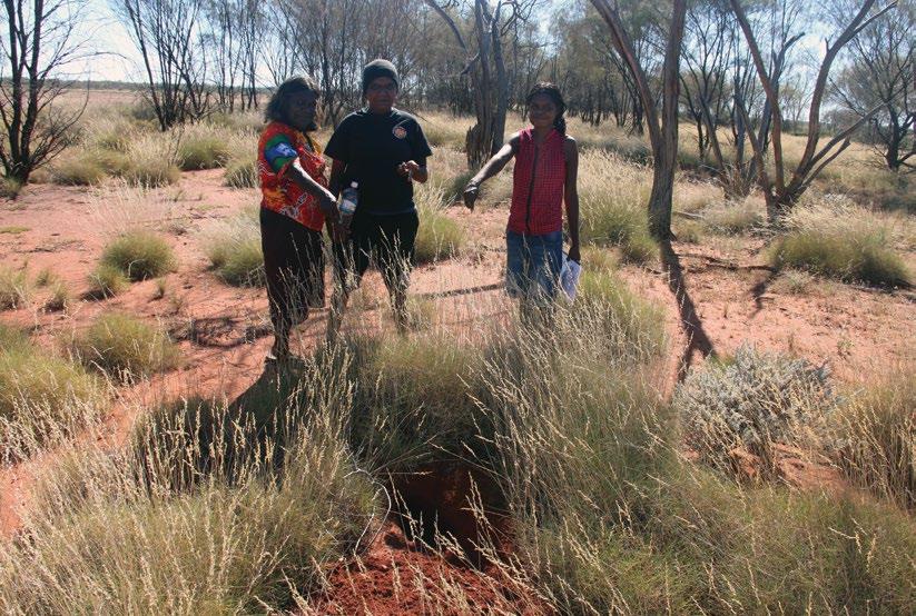 Martu know where mankarr are We know places that bilbies live.