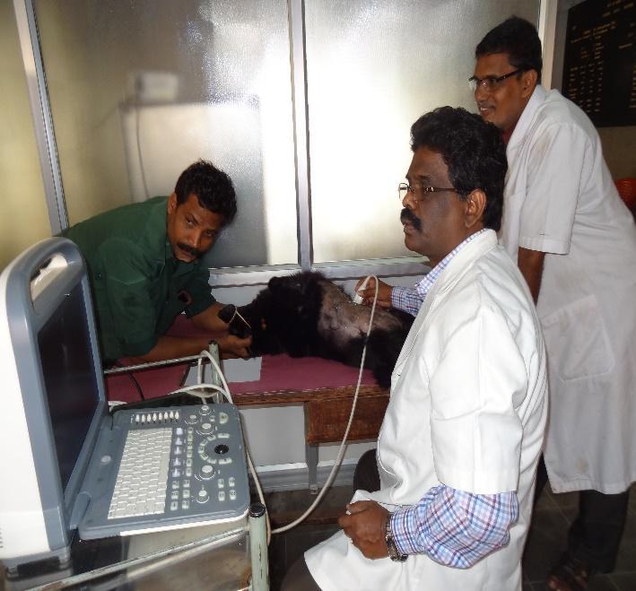 PROVISION OF ULTRASOUND SCANNING FACILITIES IN VETERINARY INSTITUTIONS OF ANIMAL HUSBANDRY DEPARTMENT Category Animal Husbandry Most Significant achievement /Success story type Enhancement of Quality