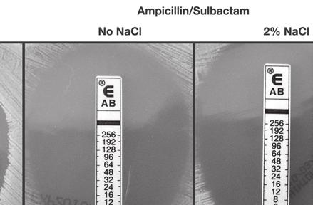 methicillin-resistant Staphylococcus aureus (MRSA)109 and MRSA141