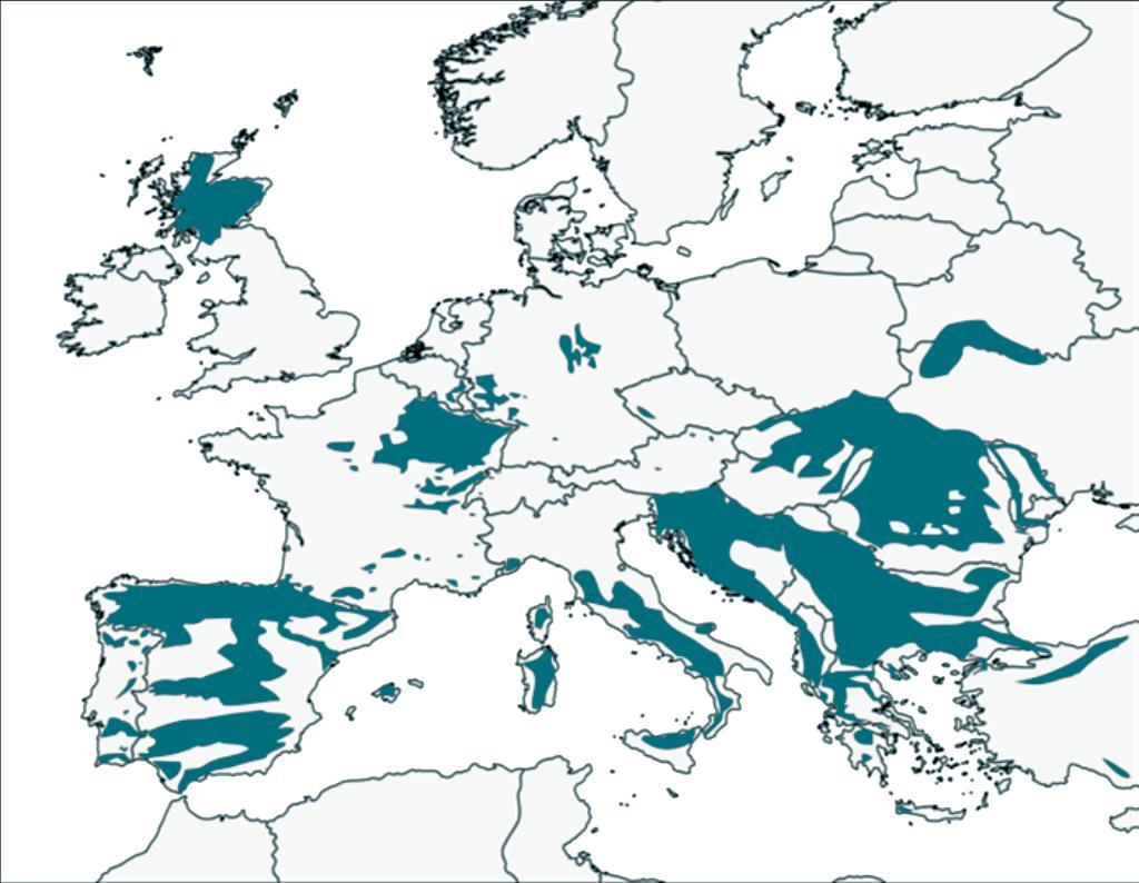 Hybridization in European wildcat populations >40% 8-43% 0-4% 6%