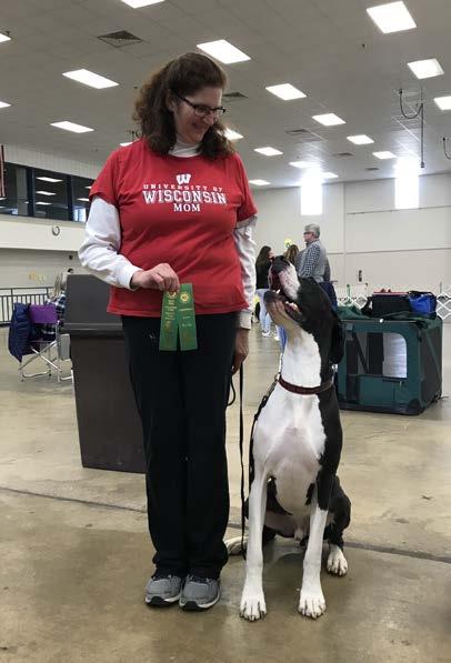 Fr0m Joan Mrkvicka: Badgerlands JubiNKC Mamas Boy Yannis received his first title of Rally Novice at the Fond Du Lac Show last weekend!