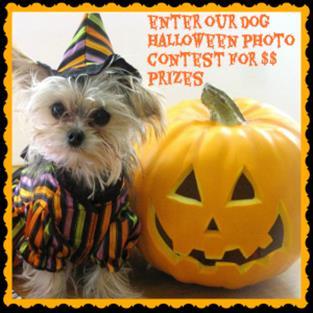 Winners will be announced at the Saturday Night Social. AV Kennel Club's - Social Evening Saturday, October 20, 2018 After all judging (approx.
