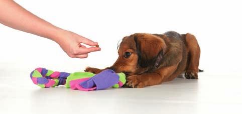 up to get attention. Some games can be used to help your pup learn selfcontrol: tug, for example, is very useful.