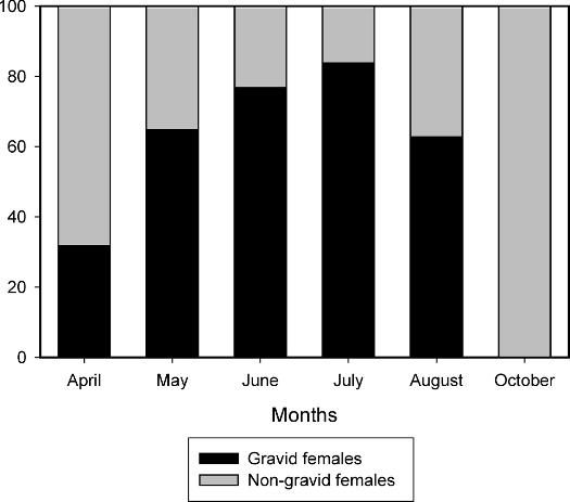 REPRODUCTIVE INVESTMENT IN A LIZARD 463 FIG. 1. Monthly variation in the proportion of gravid females in field-captured female Northern Grass Lizards (Takydromus septentrionalis).