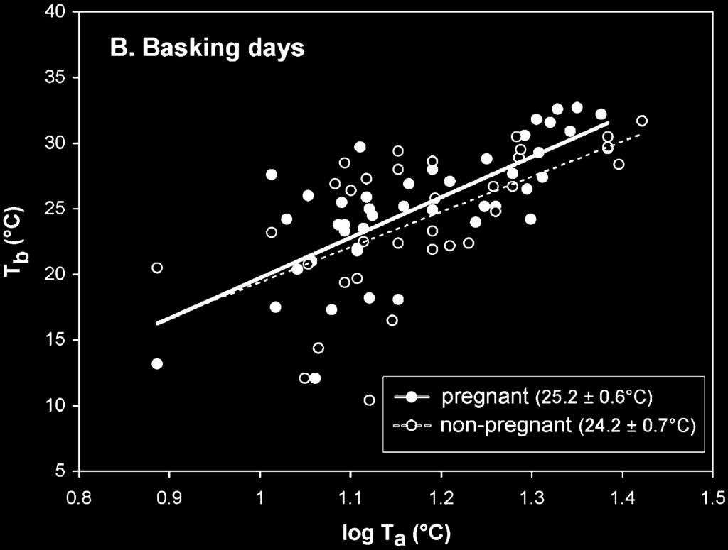 females; non-pregnant skinks are mainly males, plus a few subadult or spent females). A: Data for all days, regardless of whether basking was possible.