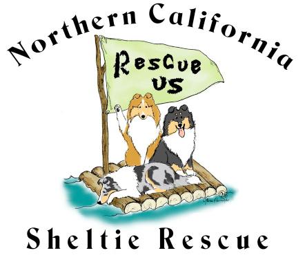 NorCal Sheltie Rescue PO Box 581934 Elk Grove, CA 95758-0033 http://www.norcalsheltierescue.org http://www.norcalshelties.org Gale Ann Morris, Director sheltieroses@frontiernet.