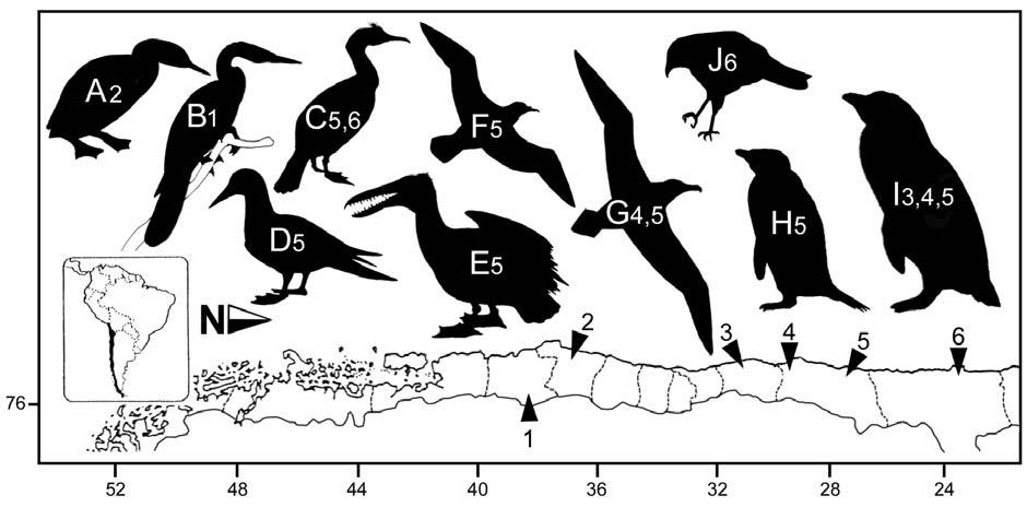 552 M.CHAVEZ Fig.1- Localities bearing fossil birds in Chile. Localities: (1) Rucañanco hill, (2) Tumbes Peninsula, (3) Coquimbo, (4) Chañaral de Aceituna, (5) Bahía Inglesa, (6) Mejillones Peninsula.
