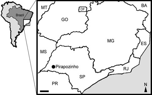 MORPHOMETRIC ANALYSIS OF SIDE-NECKED TURTLE BAURUEMYS ELEGANS 397 Length of fifth Neural; (LN6) Length of sixth Neural; (WN) Width of Nuchal; (WN1) Width of first Neural; (WN2) Width of second