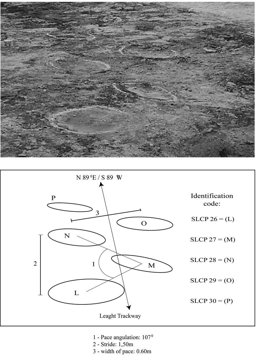 THE TRACE FOSSIL RECORD FROM THE GUARÁ FORMATION (UPPER JURASSIC?), SOUTHERN BRAZIL 593 Fig.