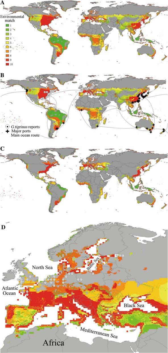 Hydrobiologia (2010) 649:183 194 189 Fig. 2 Predicted occurrence of G. tigrinus based on the ecological niche models developed using environmental data for North American sites of G.