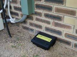Rodent bait stations in areas accessible to children or pets must be tamper-proof (pestcontroladvice.