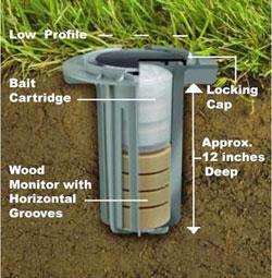 A comprehensive baiting program then seeks to maintain a termite-free condition on the customer's property through ongoing inspection, monitoring and re-baiting as needed. Termite bait station (www.