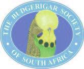 The Budgerigar Society of South Africa Founded 1936 Budgerigar Society of South