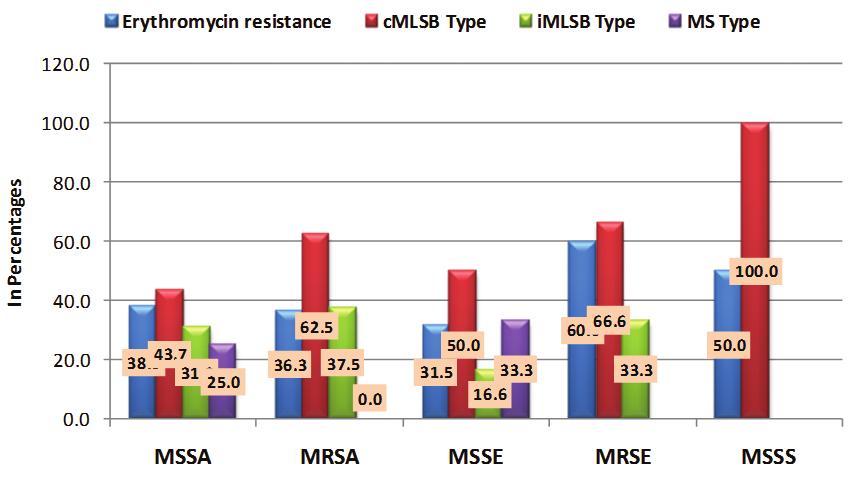S aureus was the most common isolate in our study. In addition, methicillin sensitive strains were more common both among S aureus as well as Coagulase negative staphylococcus spp.in our study 34.