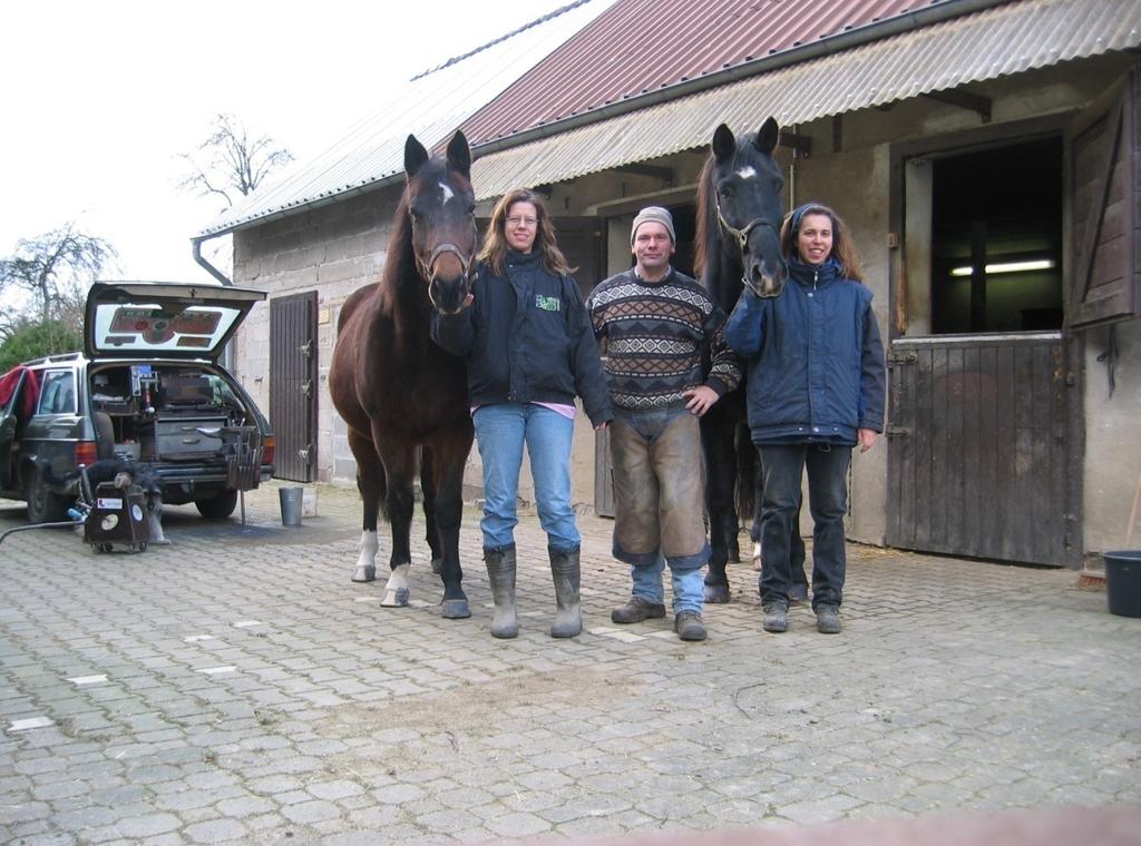 Horses and Groups My Customers horses split into two Groups a) The