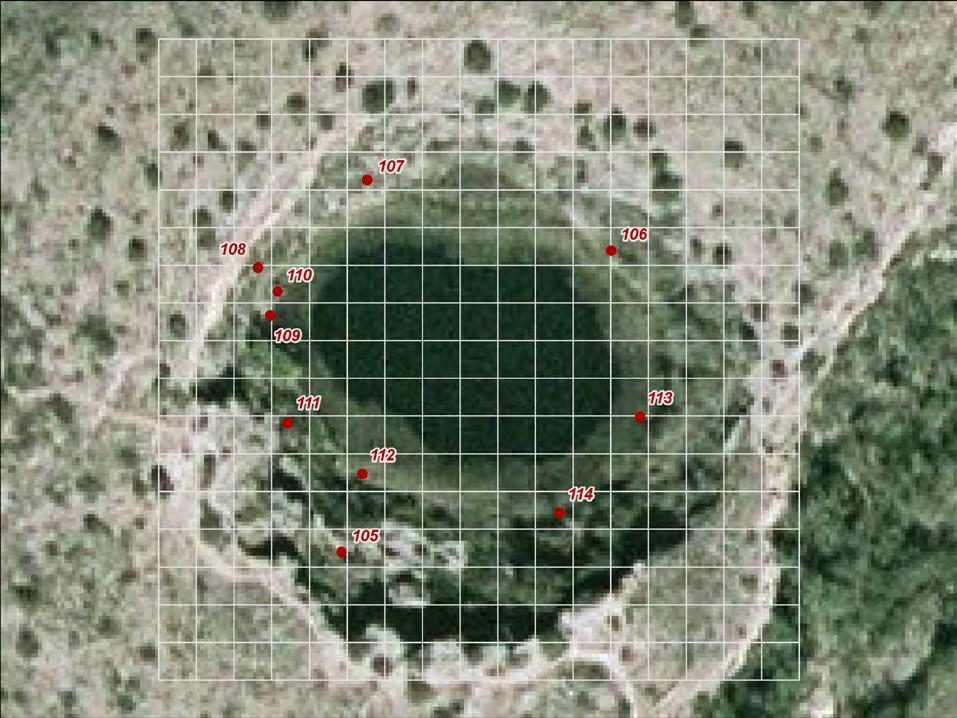 Figure 3. Aerial photo of Montezuma Well, Arizona, showing GIS grid map overlay used to note locations of individual turtles during behavioral observations conducted in 2007 and 2008.