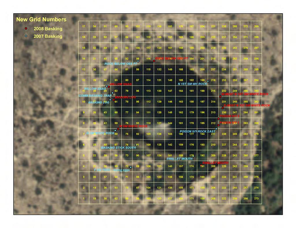 Appendix 2 (continued). Aerial image of Montezuma Well with grid overlay and points for noting locations of turtles.