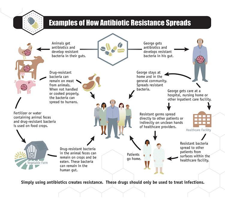 koristili ispravno, pojava rezistencije bakterija na antibiotike koji su nam preostali mogla bi se značajno odgoditi (7,14). Slika 6. Načini širenja antibiotske rezistencije (preuzeto s: http://www.